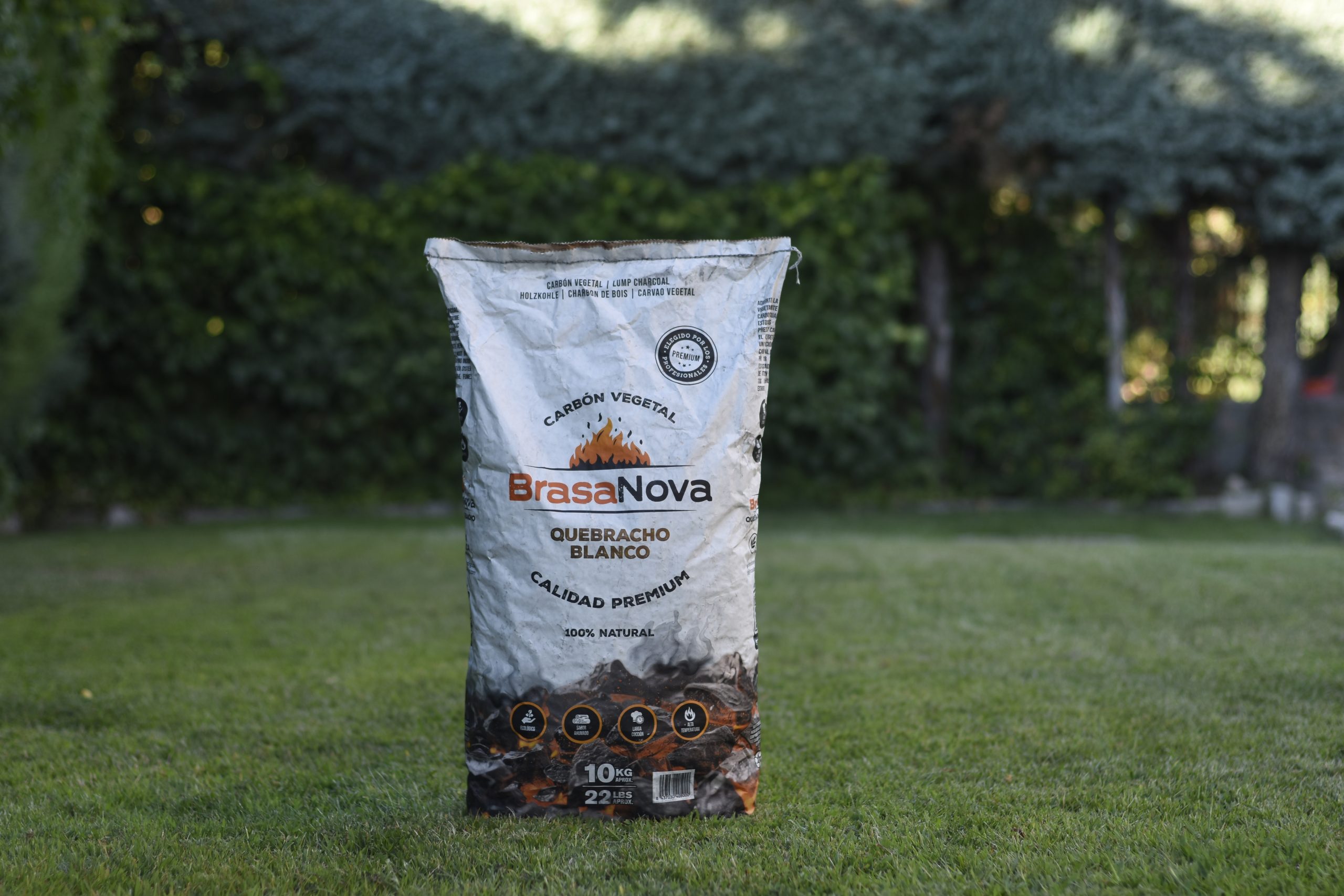 Carbón Vegetal de Quebracho Blanco
